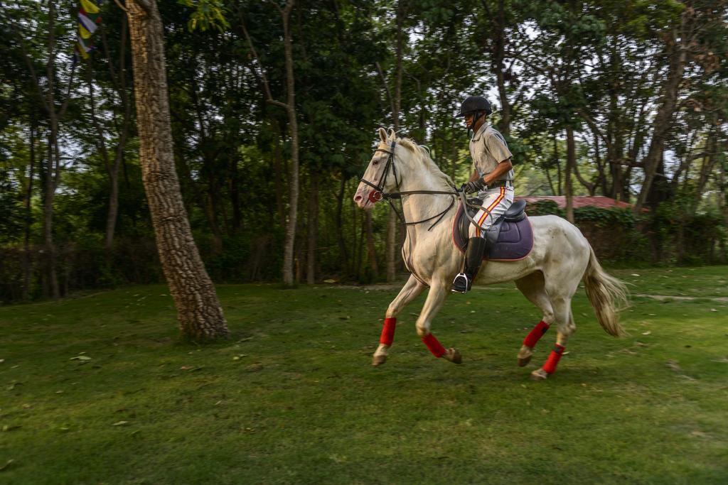Gokarna Forest Station touristique 5*