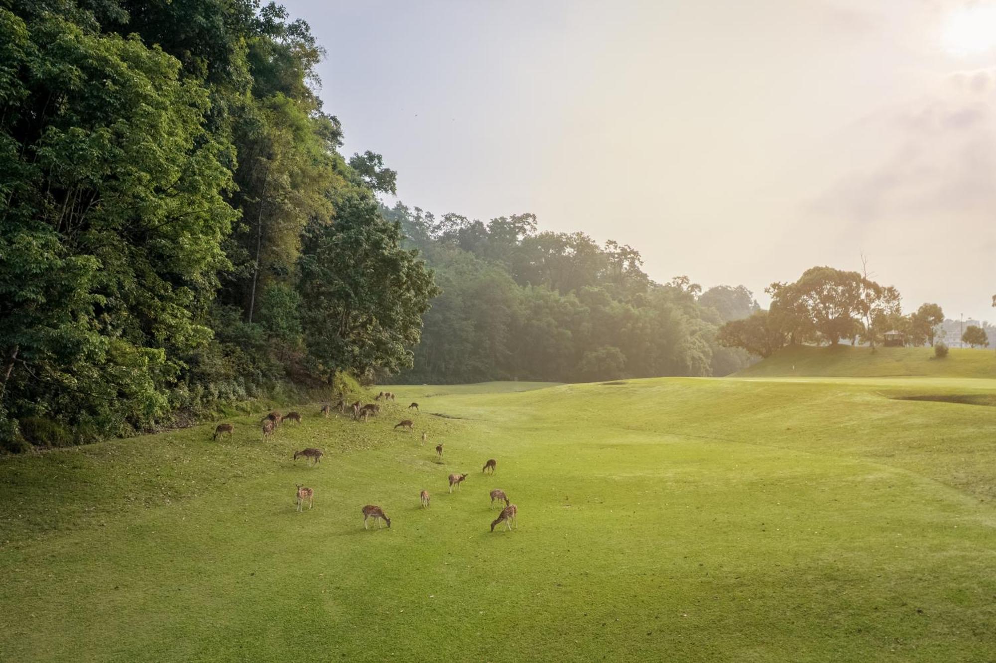 Gokarna Forest Kathmandu