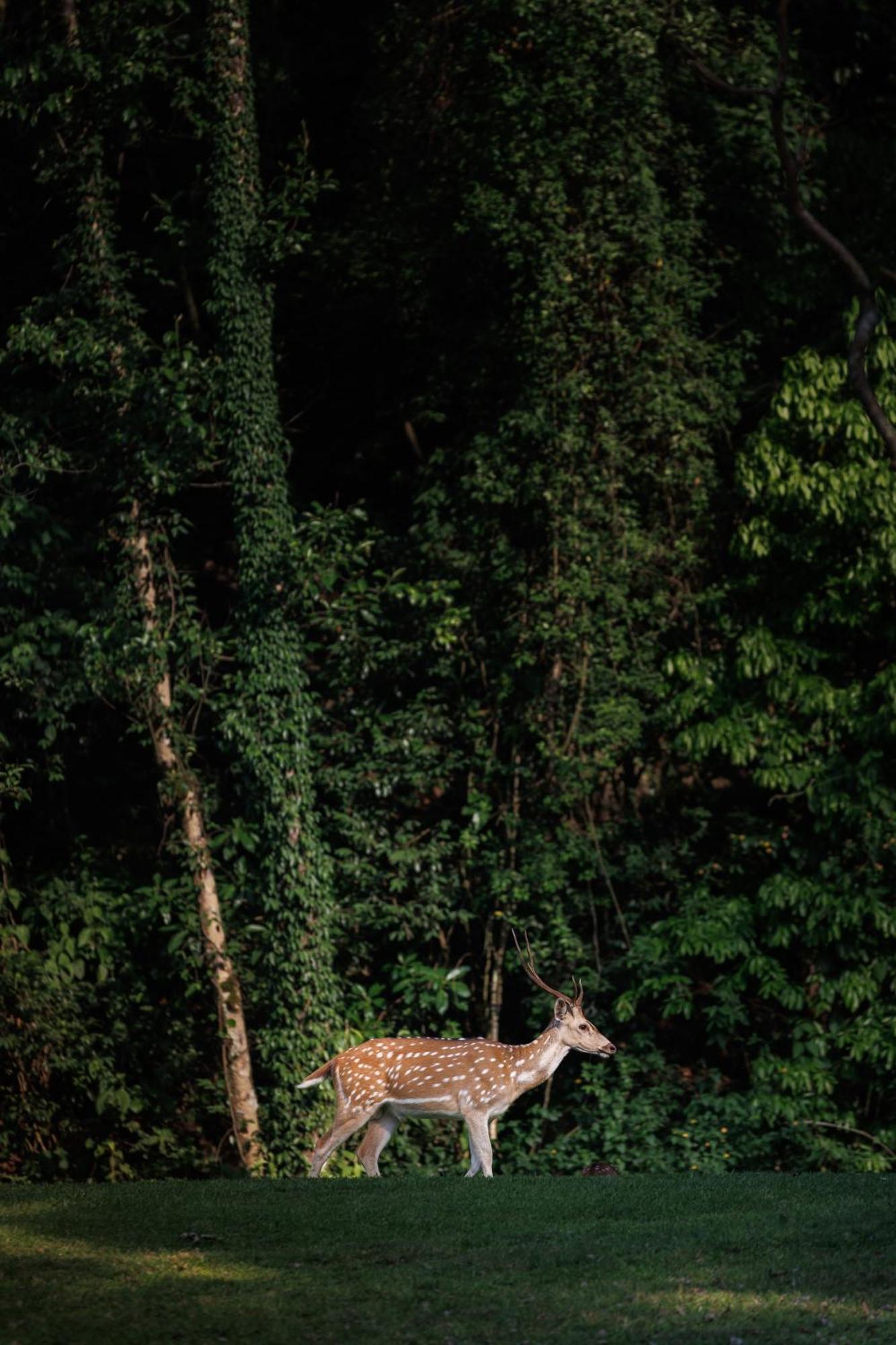 Gokarna Forest 5* Kathmandu