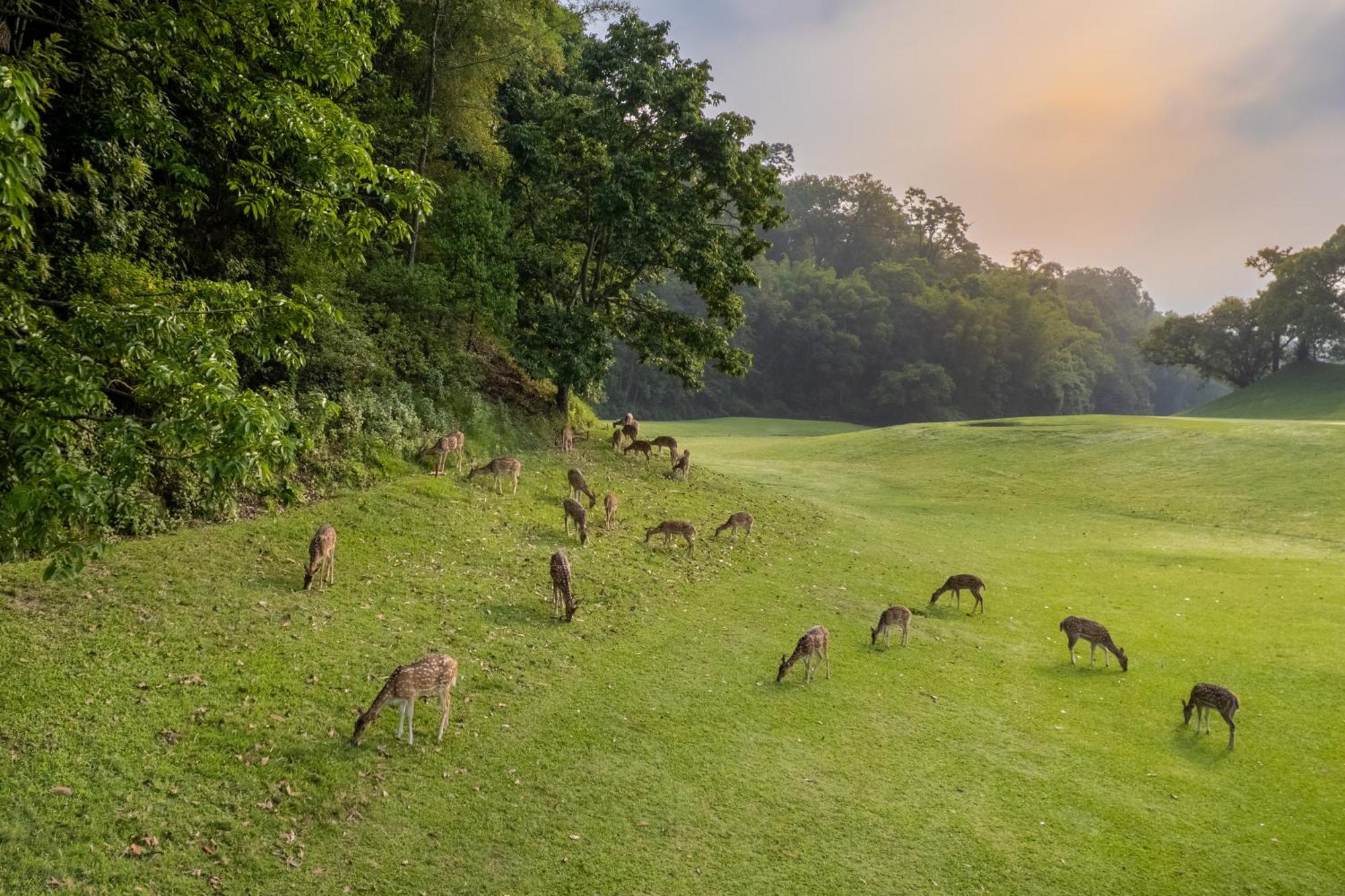 Gokarna Forest Resort
